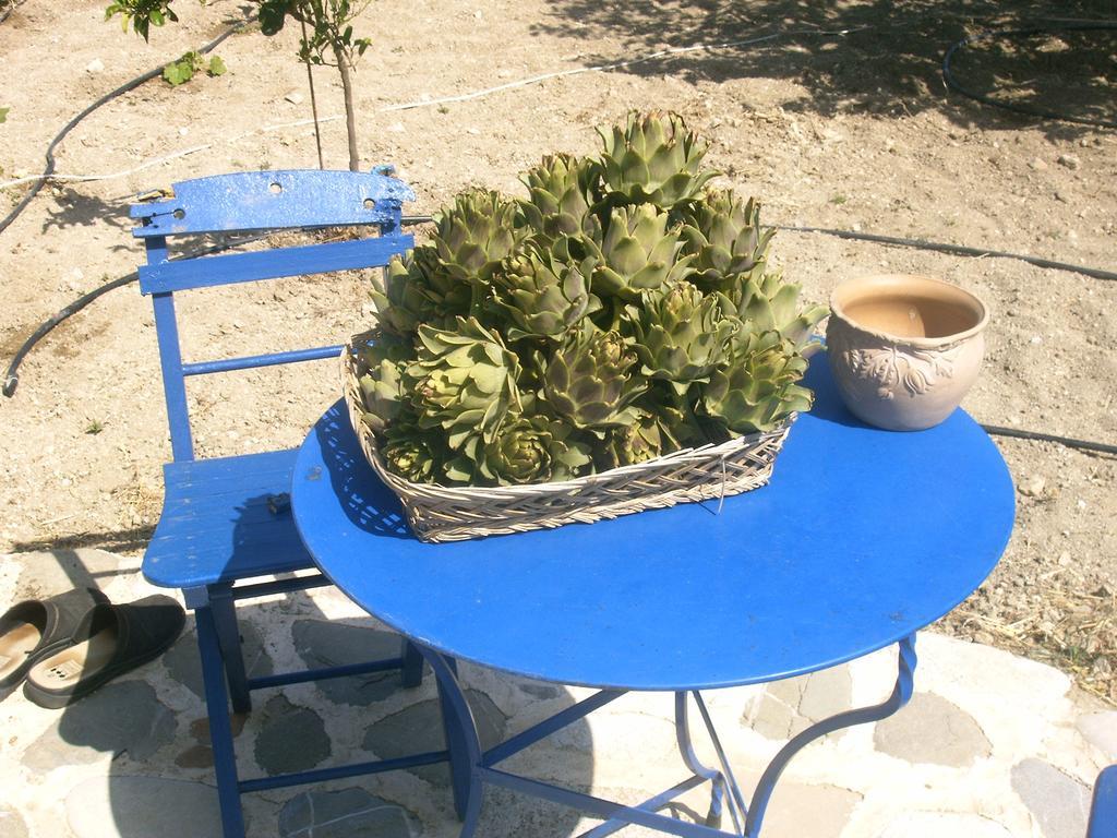 הוילה Kritinía O Ioannis מראה חיצוני תמונה