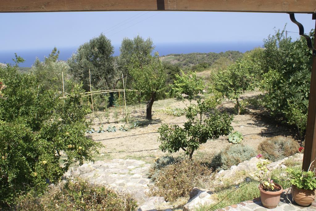 הוילה Kritinía O Ioannis מראה חיצוני תמונה